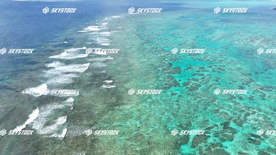 西表島　リーフ