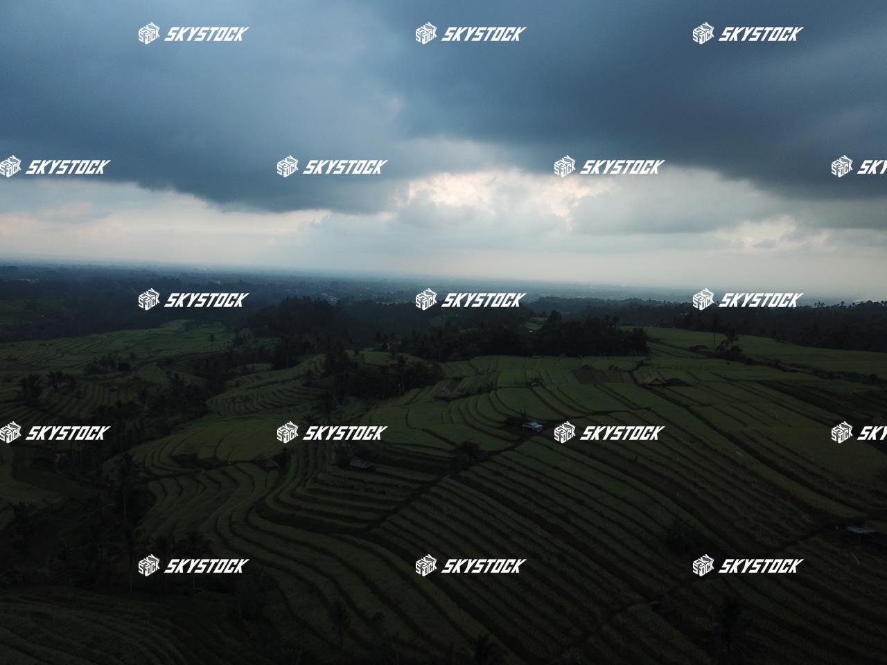 ライステラスMavic1