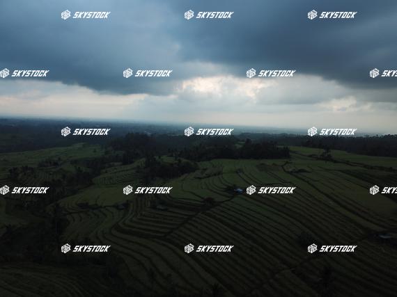 ライステラスMavic1