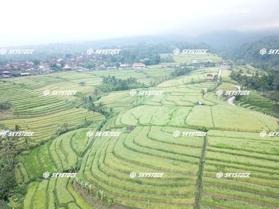 ライステラスMavic3