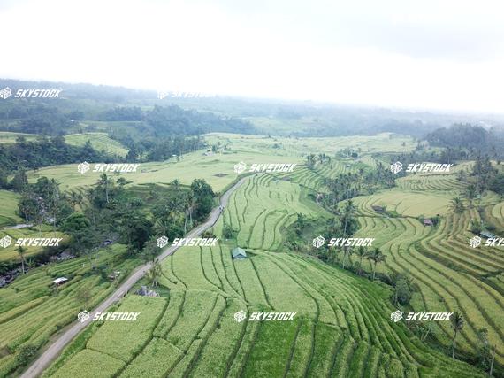 ライステラスMavic5