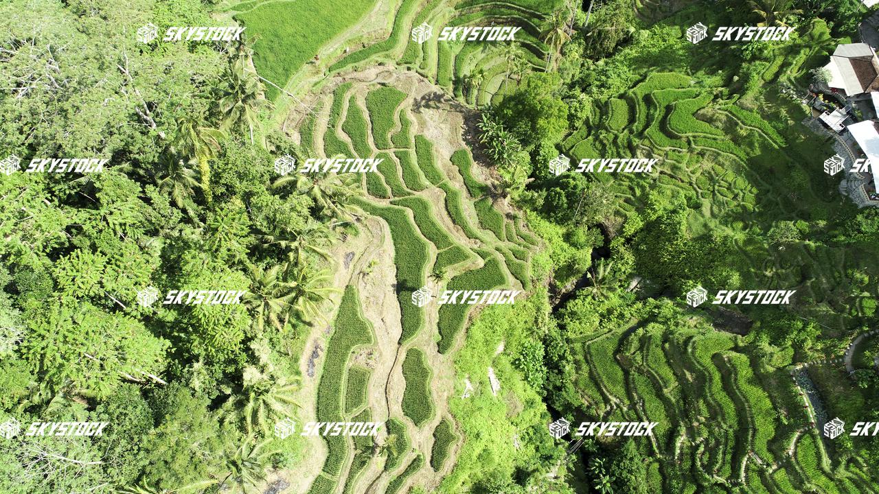 ライステラス23