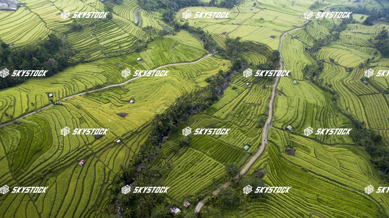 ライステラス世界遺産1