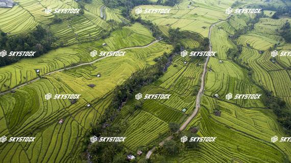 ライステラス世界遺産1