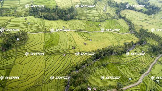 ライステラス世界遺産2