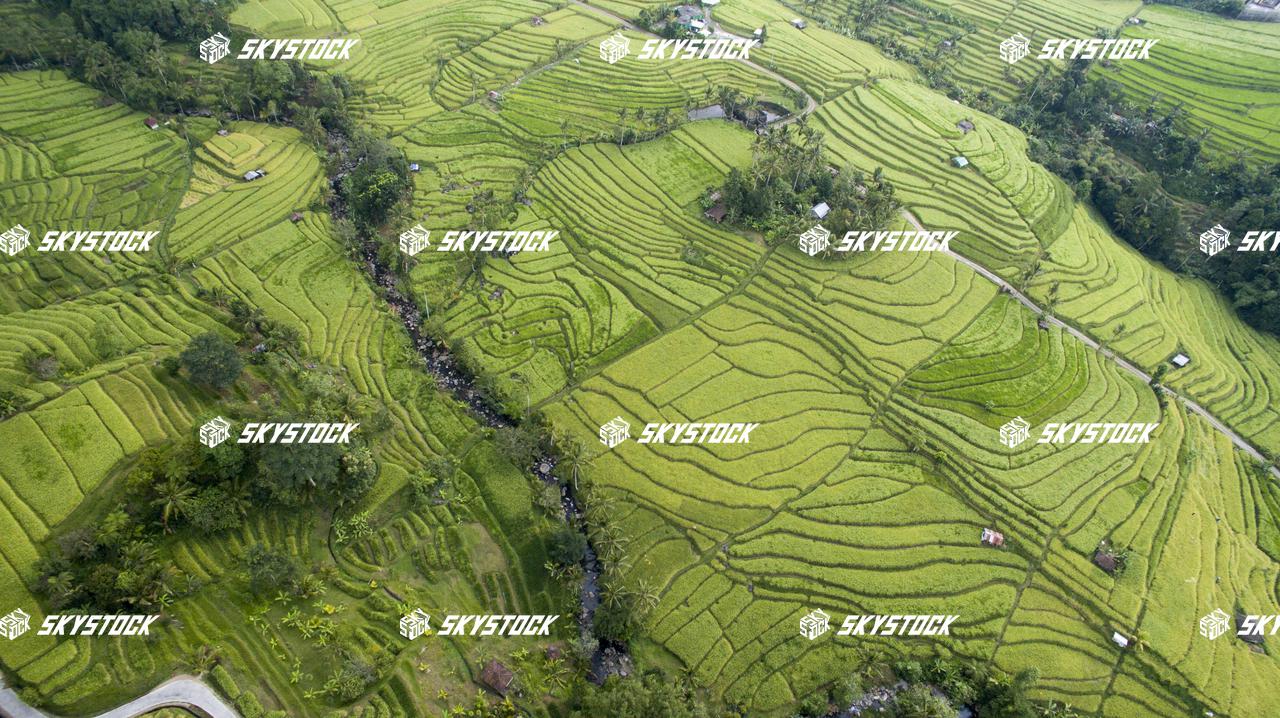 ライステラス世界遺産3