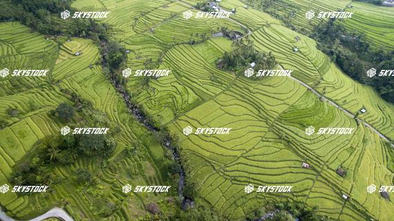 ライステラス世界遺産3