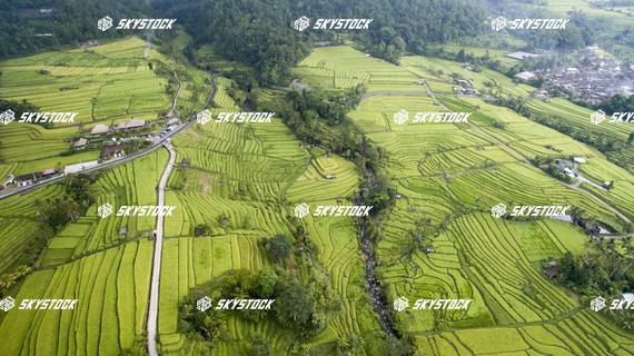 ライステラス世界遺産4