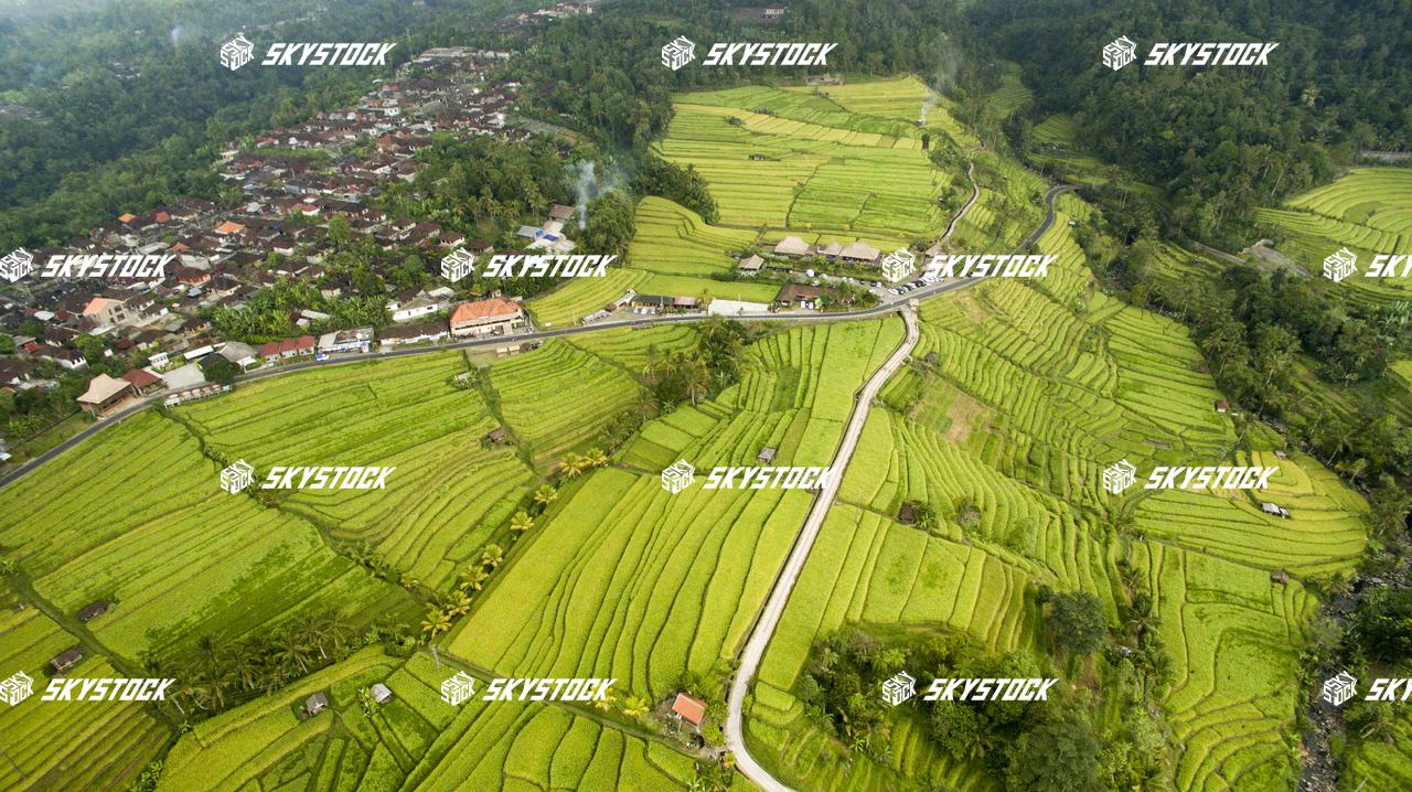 ライステラス世界遺産5