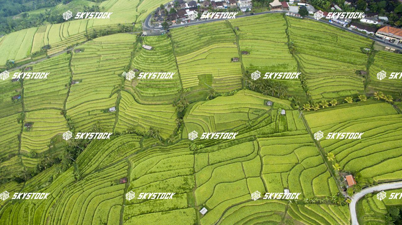 ライステラス世界遺産6