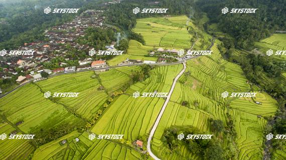 ライステラス世界遺産5