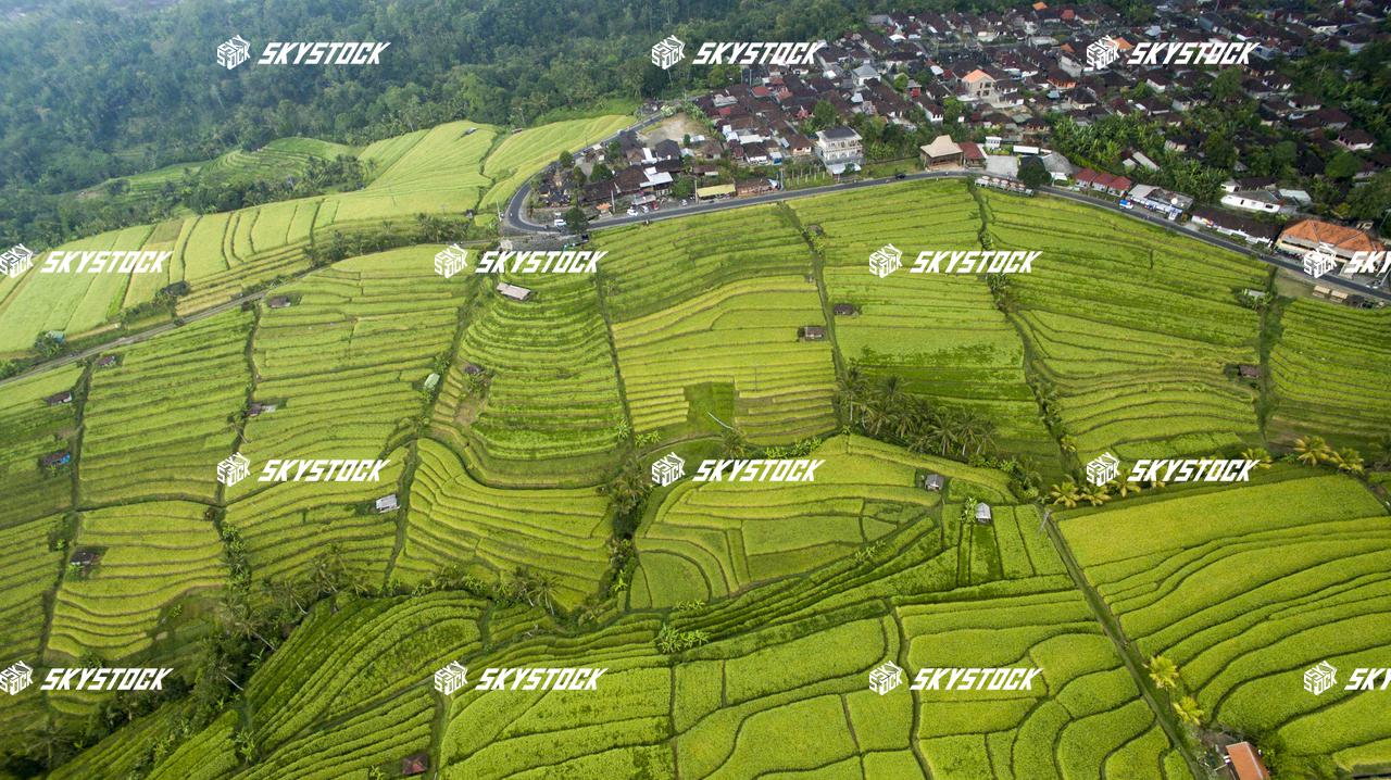 ライステラス世界遺産7