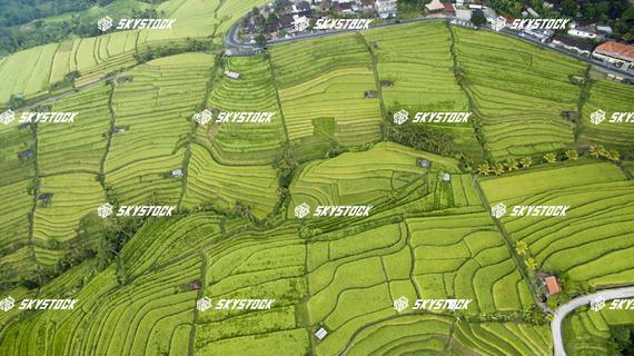 ライステラス世界遺産6