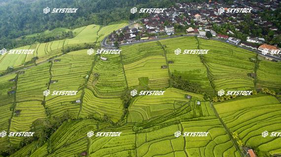 ライステラス世界遺産7