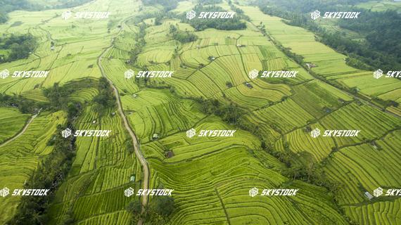 ライステラス世界遺産8