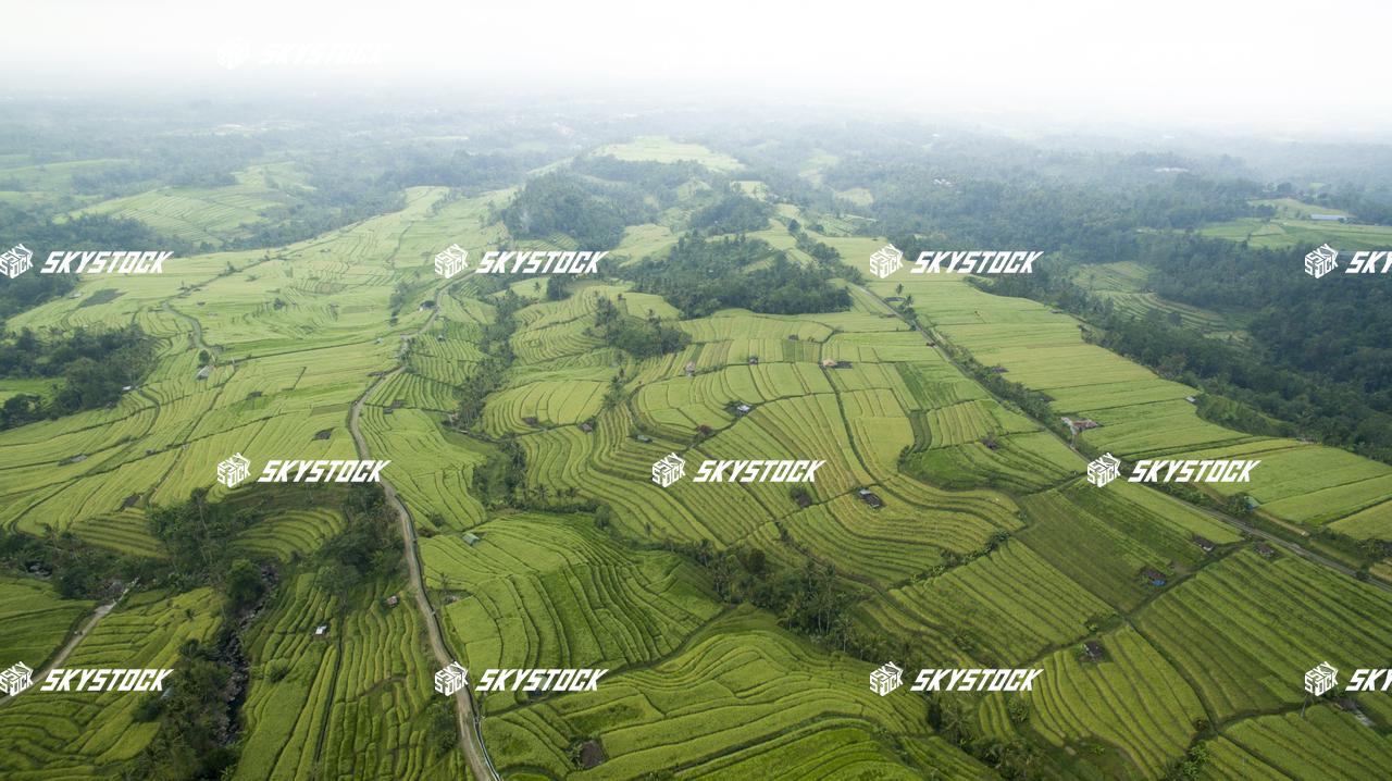 ライステラス世界遺産9