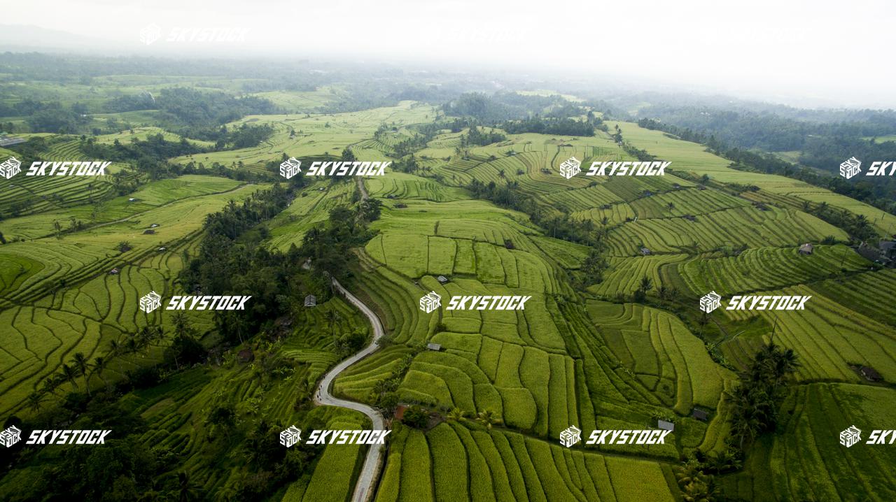 ライステラス世界遺産11