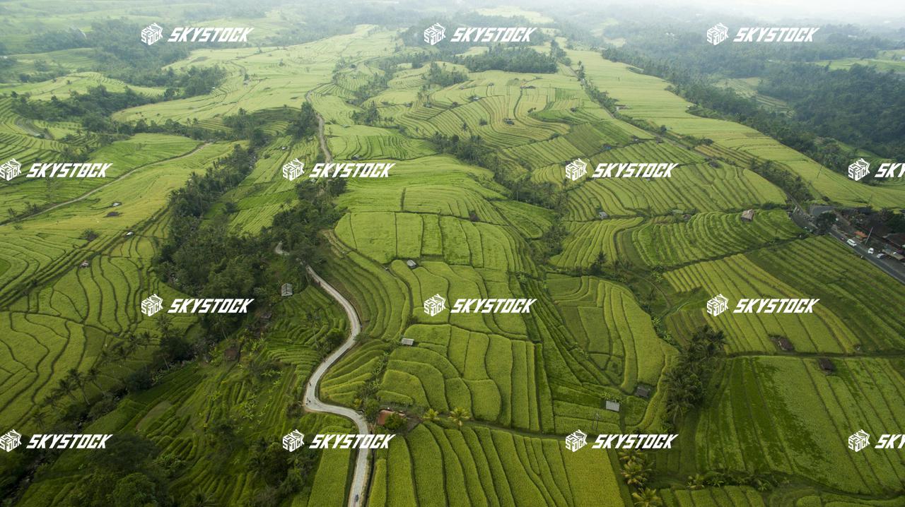 ライステラス世界遺産10