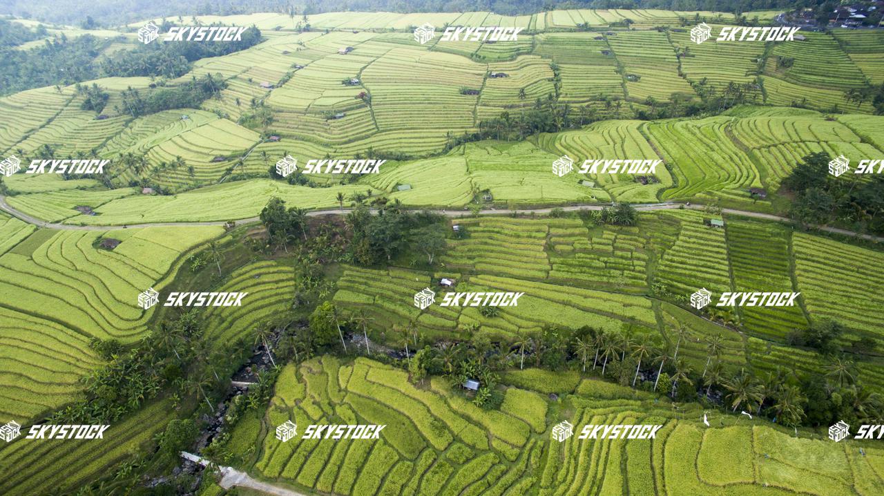 ライステラス世界遺産12