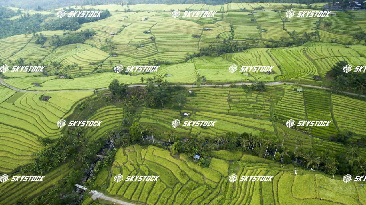 ライステラス世界遺産13