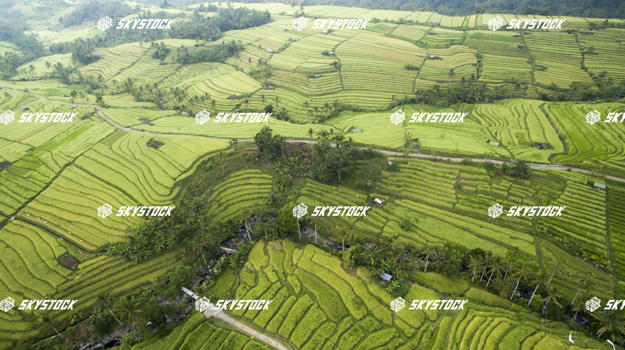 ライステラス世界遺産14