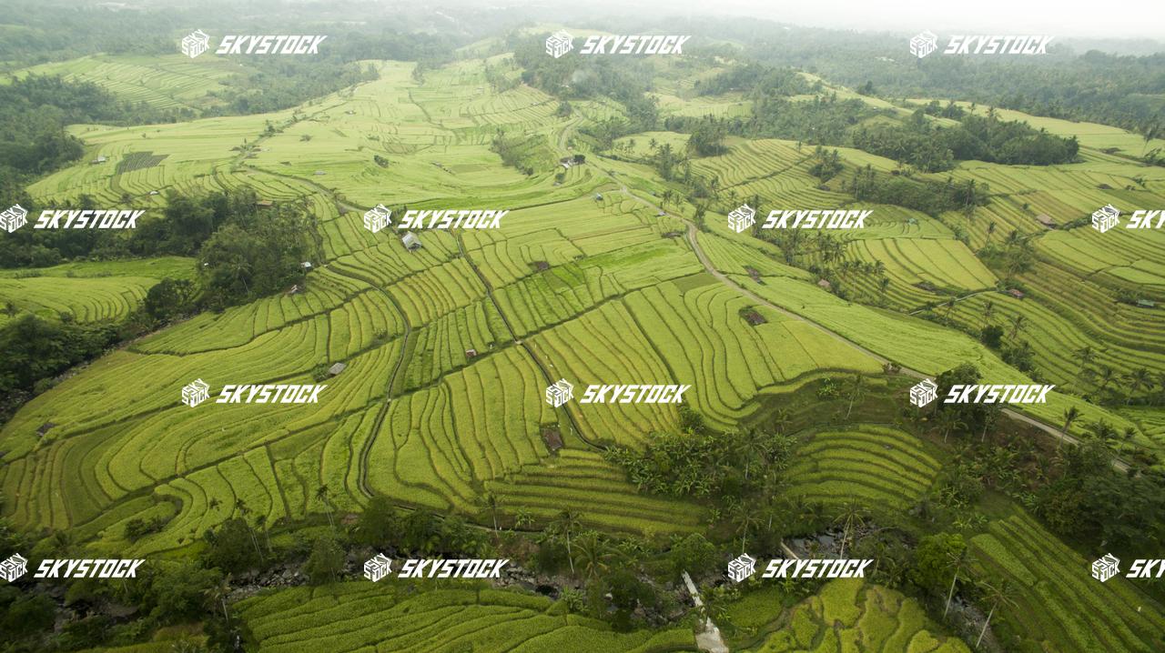 ライステラス世界遺産15