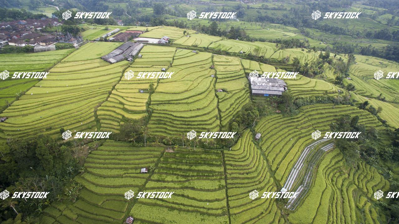 ライステラス世界遺産18