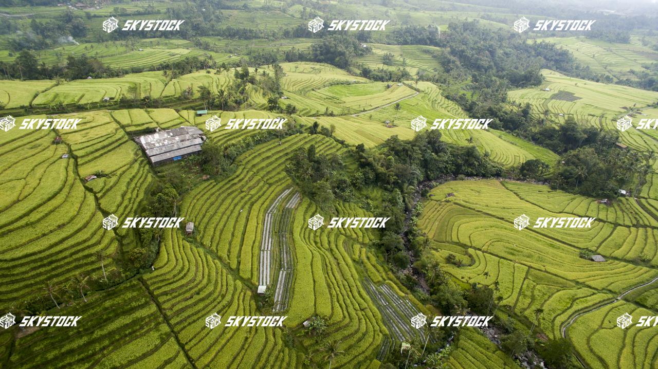 ライステラス世界遺産17