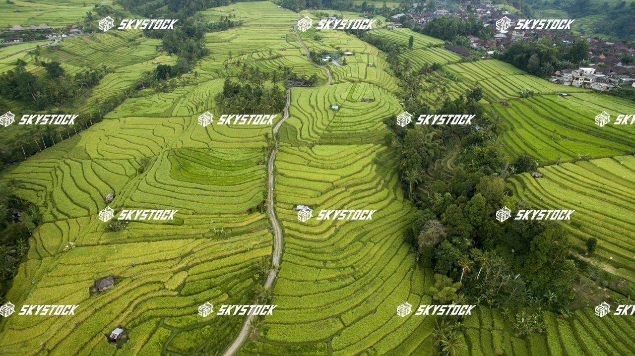 ライステラス世界遺産20