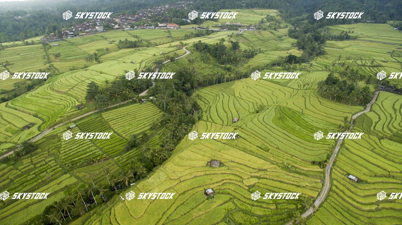 ライステラス世界遺産21