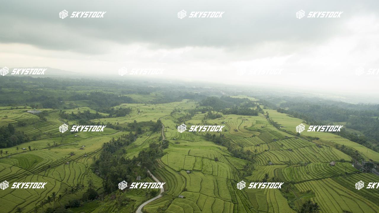 ライステラス世界遺産22