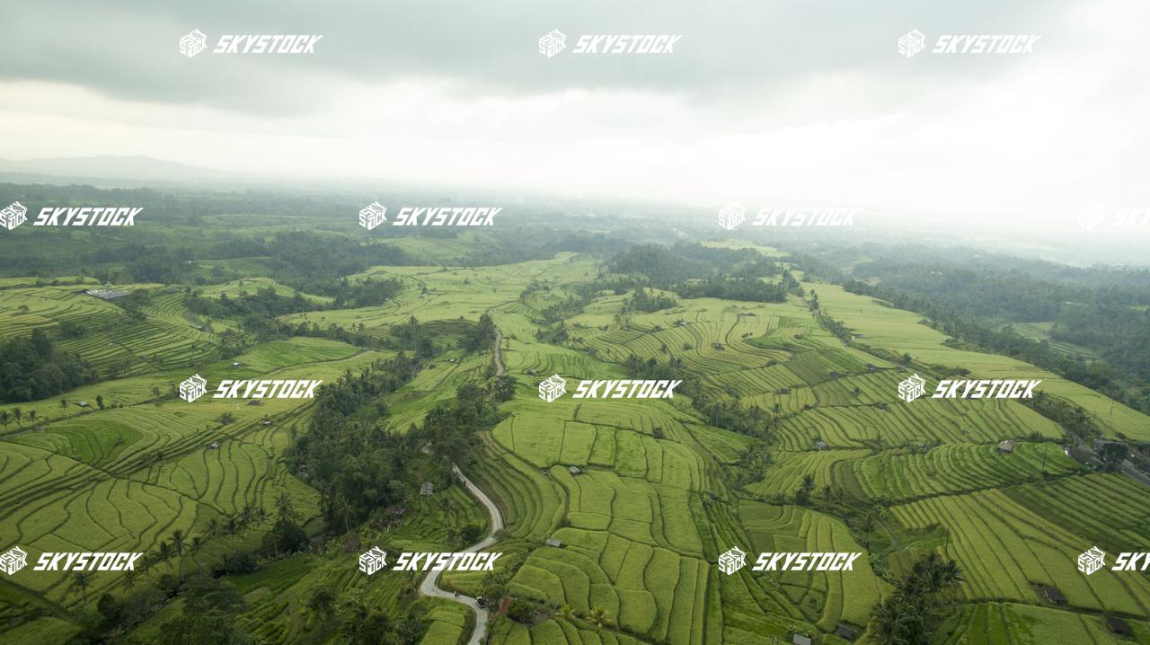 ライステラス世界遺産23