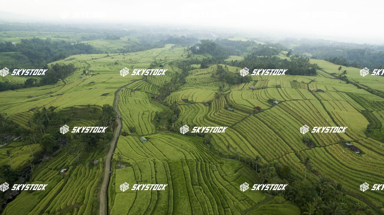 ライステラス世界遺産25