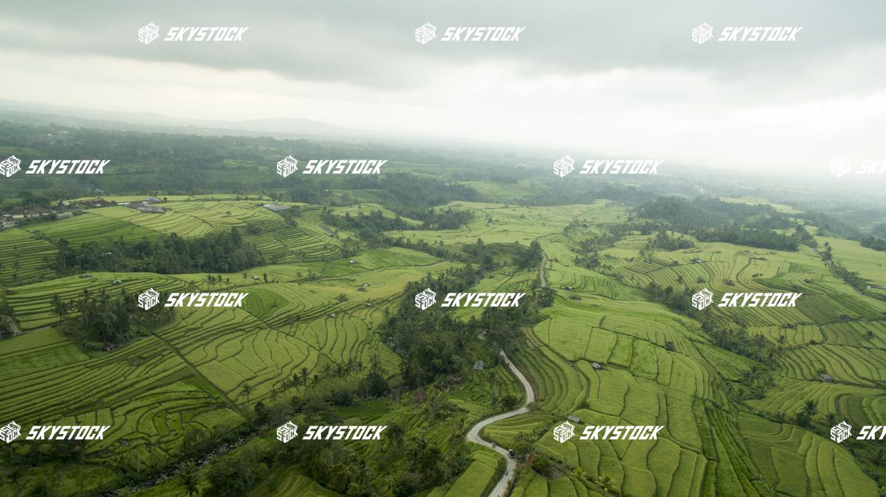 ライステラス世界遺産24