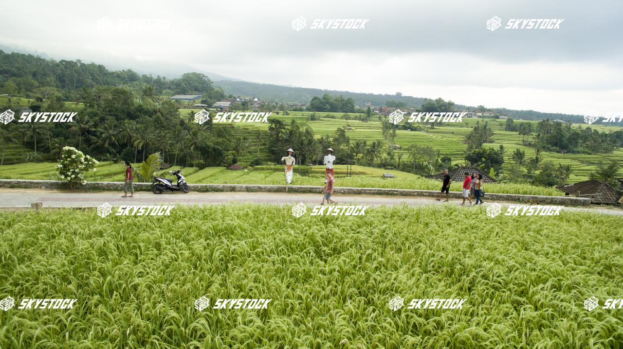 ライステラス世界遺産27