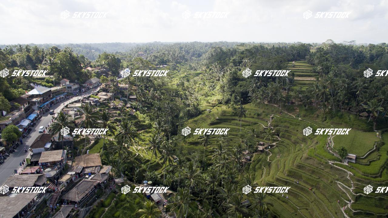 ライステラス14