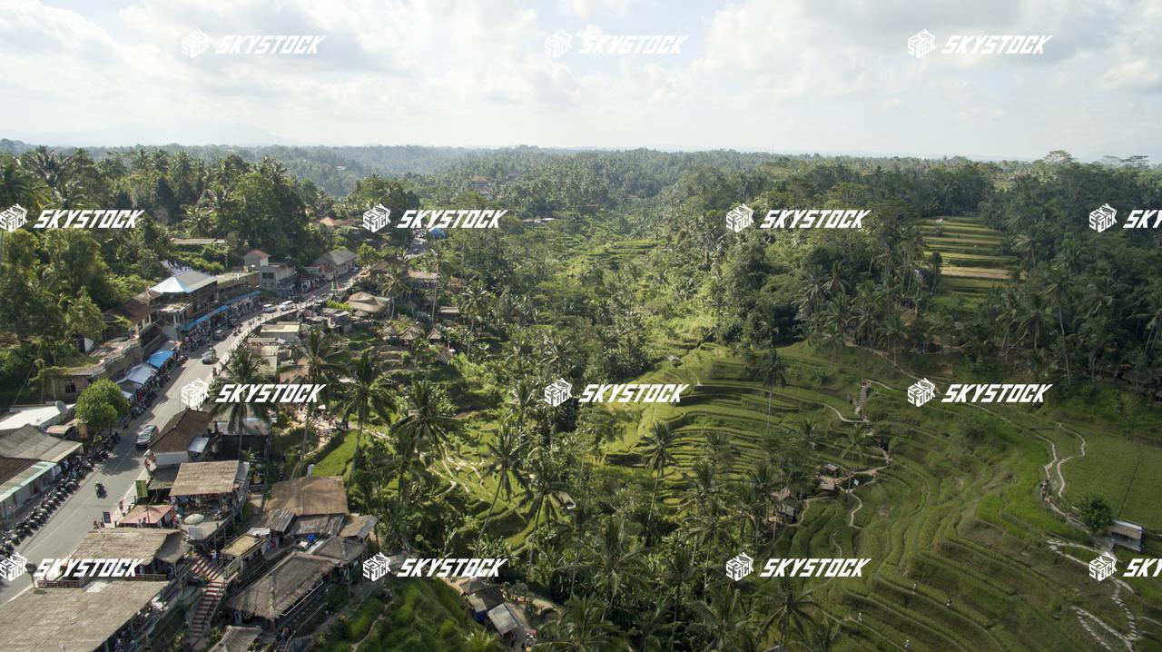 ライステラス13