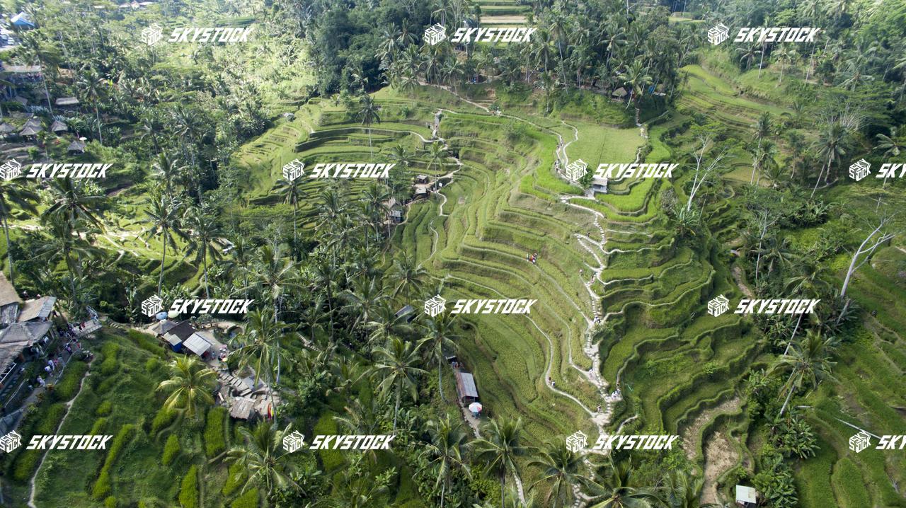 ライステラス16