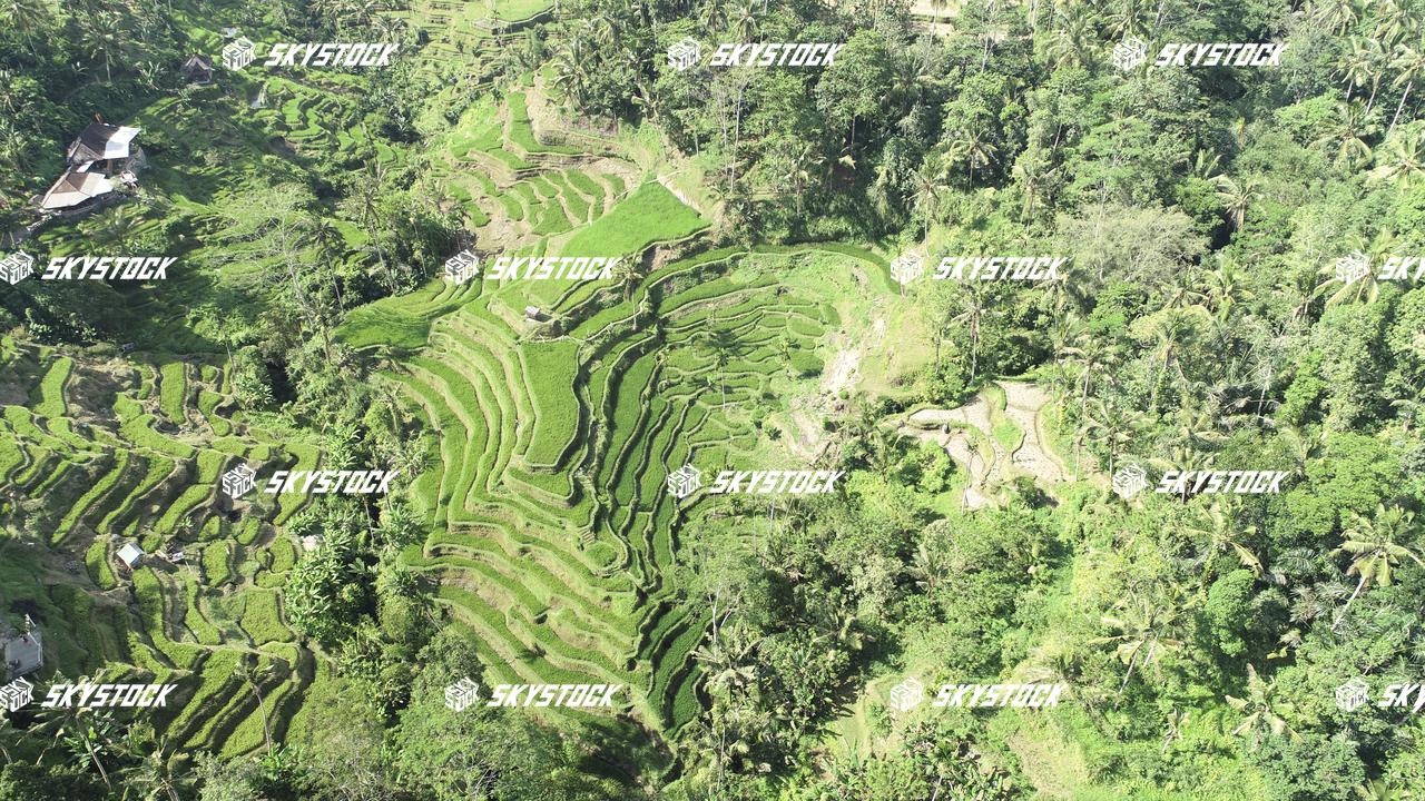 ライステラス20