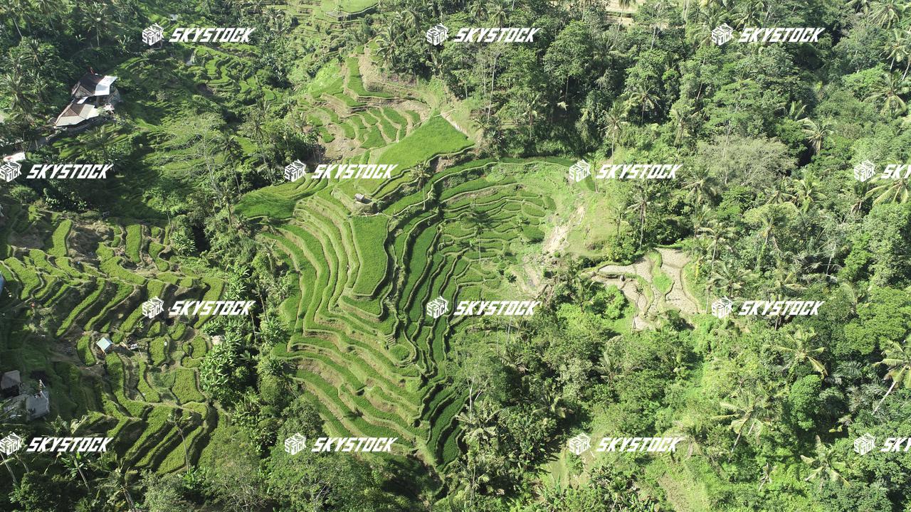 ライステラス21