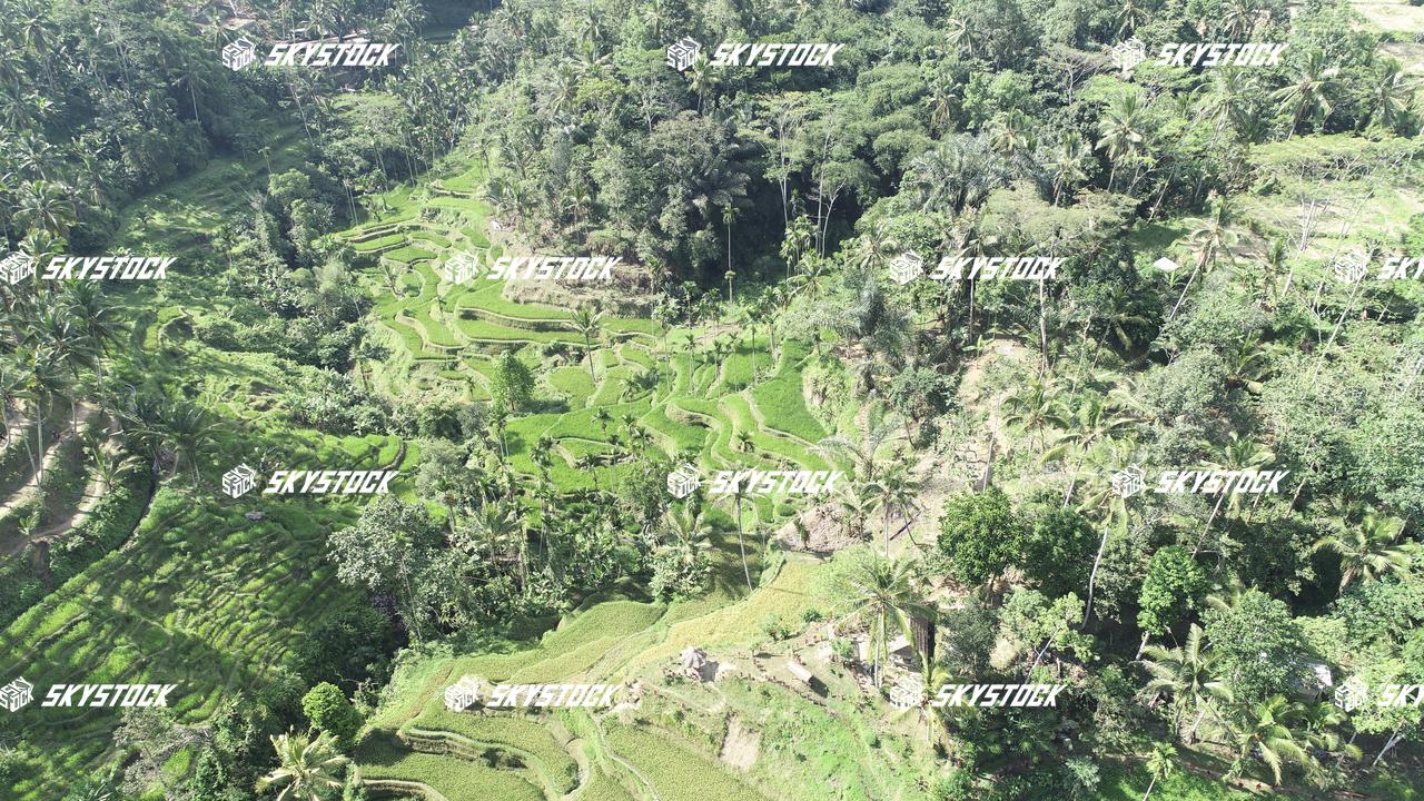 ライステラス22