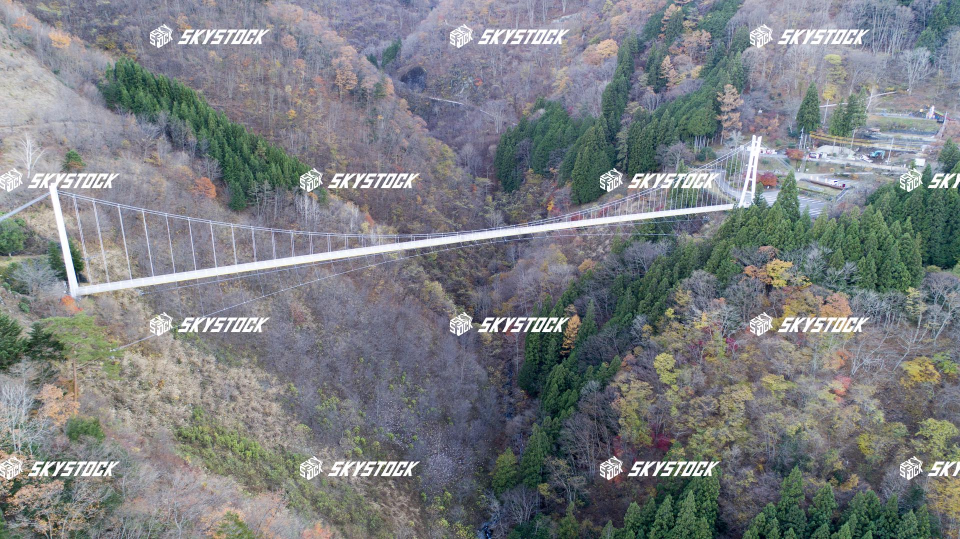 上野スカイブリッジ1