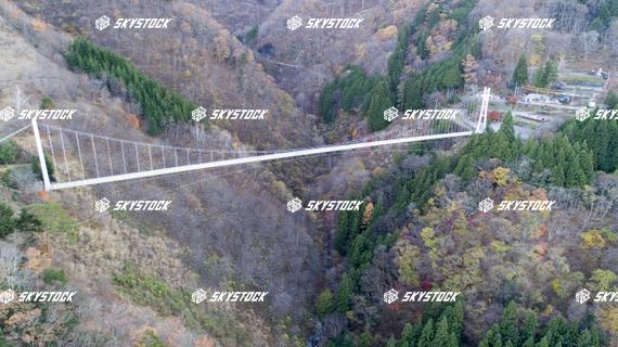 上野スカイブリッジ1