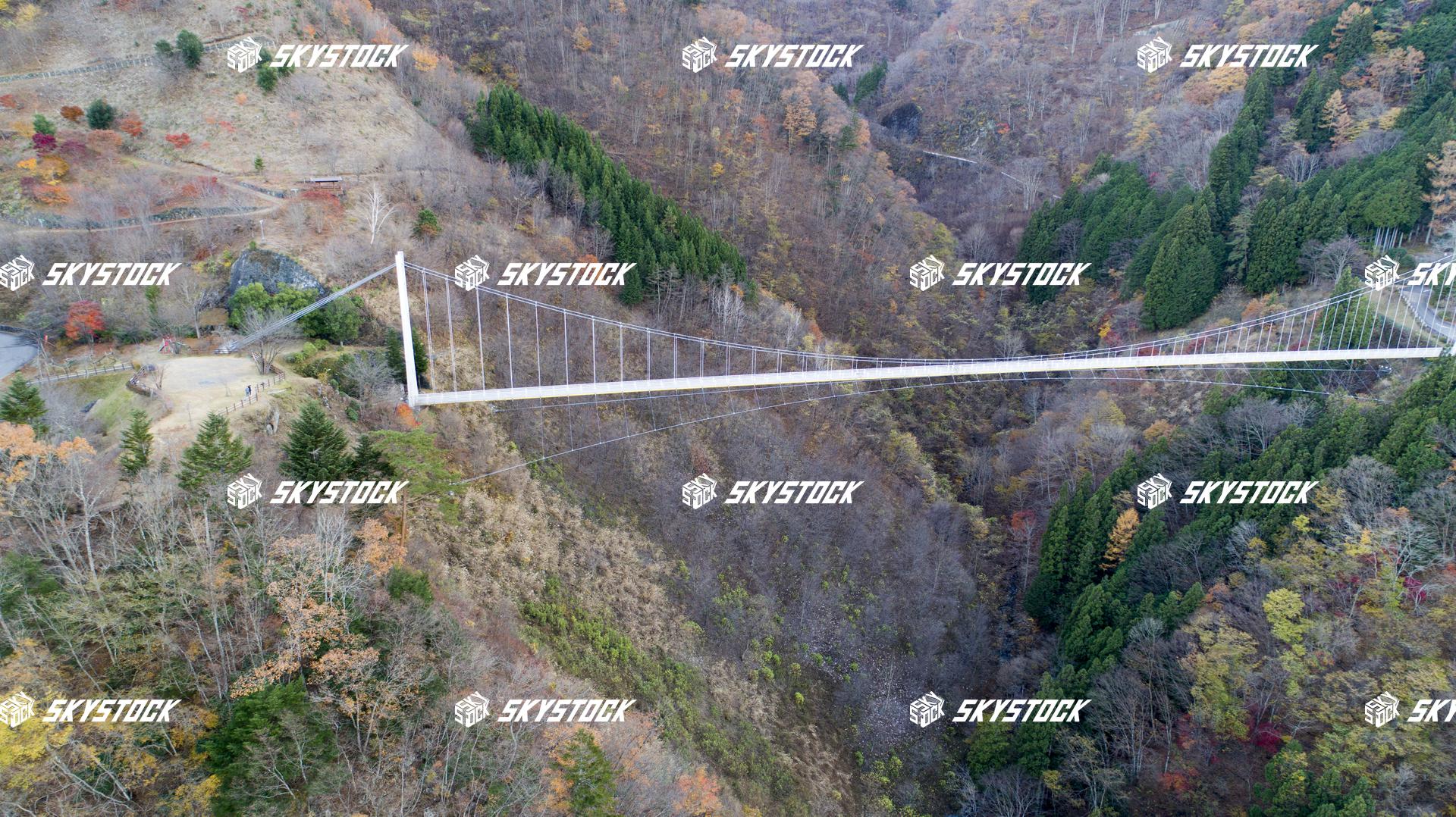 上野スカイブリッジ2