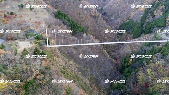 上野スカイブリッジ2