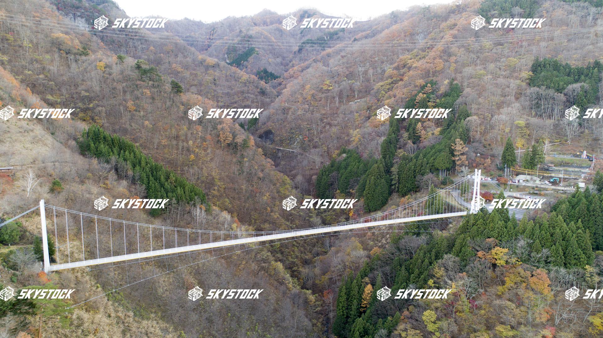 上野スカイブリッジ3