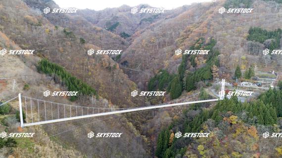 上野スカイブリッジ3