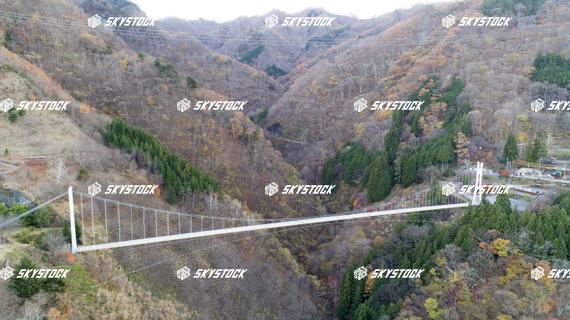 上野スカイブリッジ5