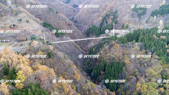 上野スカイブリッジ6