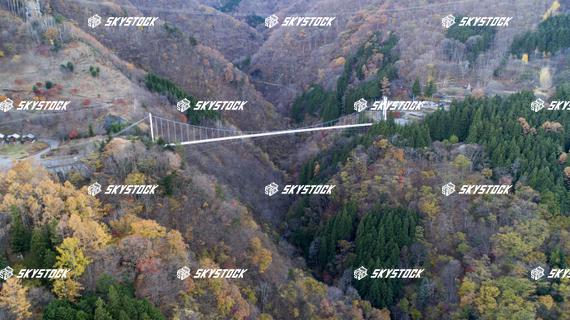 上野スカイブリッジ7